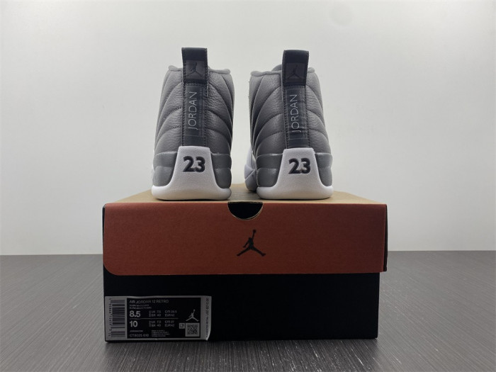 Air Jordan 12 STEALTH CT8025-610
