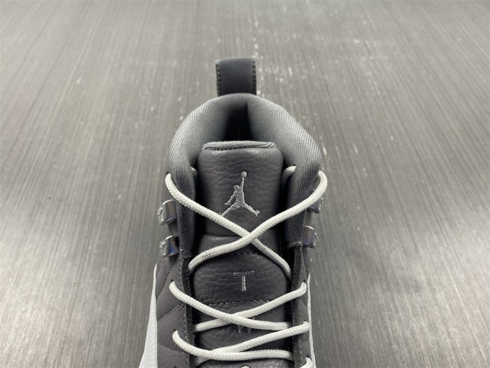 Air Jordan 12 STEALTH CT8025-610