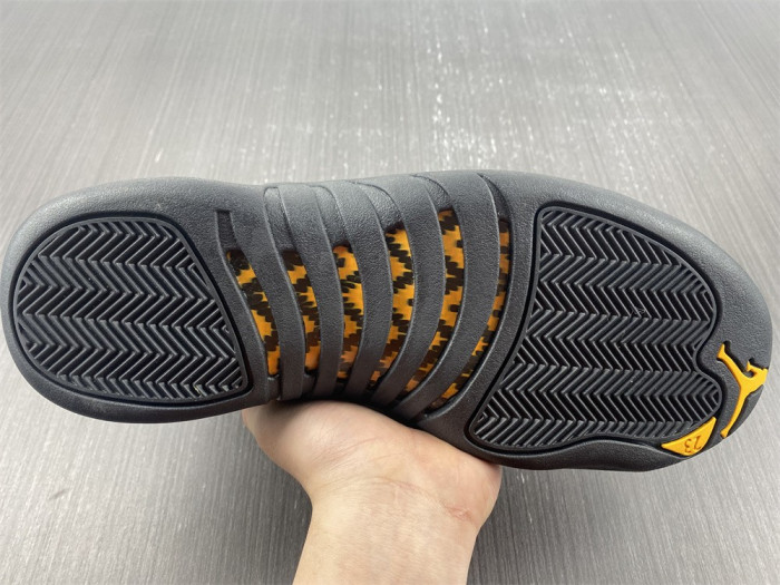 Air Jordan 12 “Black Taxi” CT8013-071