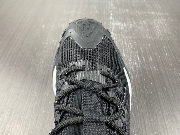 Nike ACG MOUNTAIN FLY LOW 