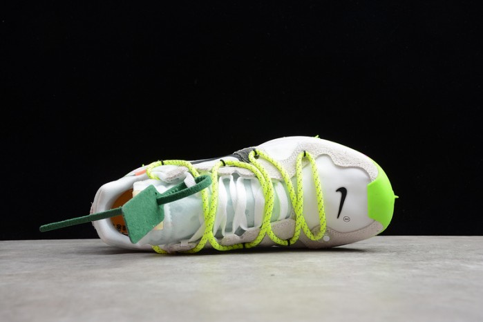 Nike Zoom Terra Kiger 5 OW White (W) - CD8179-100