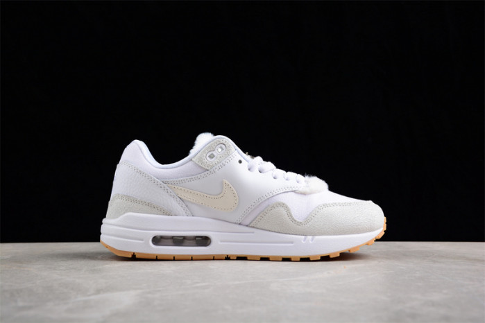 Nike Air Max 1 The Bay FJ4451-100