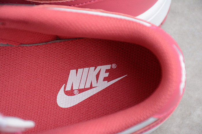 Nike Dunk Low Archeo Pink WMNS DD1503-111