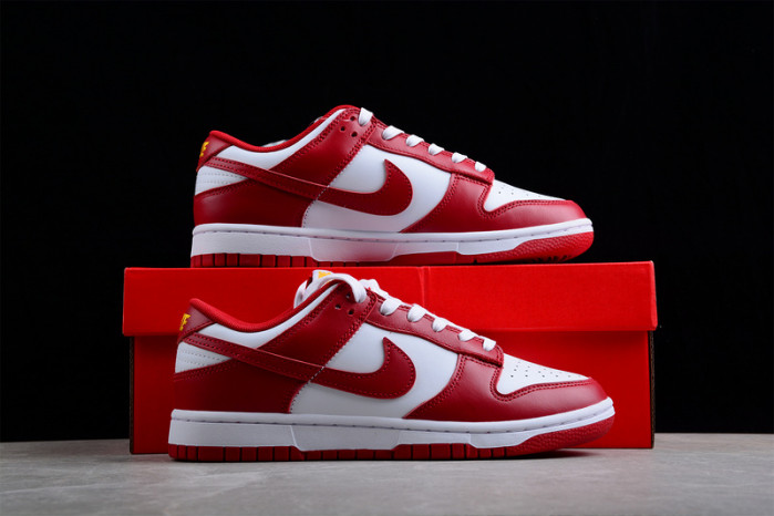 NIKE Dunk Low SG DD1391-602