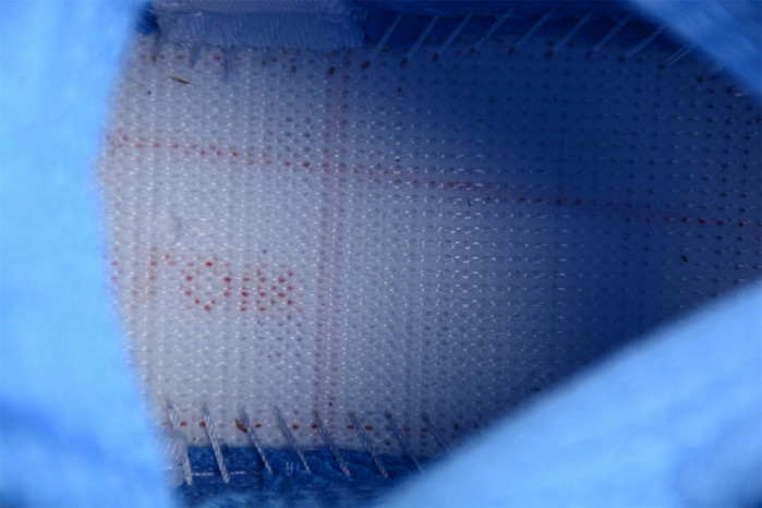 Air Jordan 5 “UNC” DV1310-401