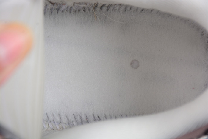 NIKE DUNK LOW DISRUPT 2 PINK OXFORD (W) DV4024-001