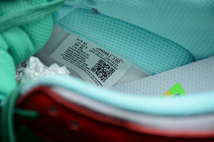 NIKE DUNK LOW FREE 99 WHITE DH0952-100