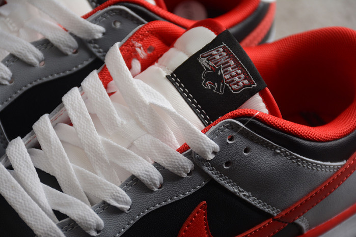 Nike Dunk Low "CAU" DR6189-001