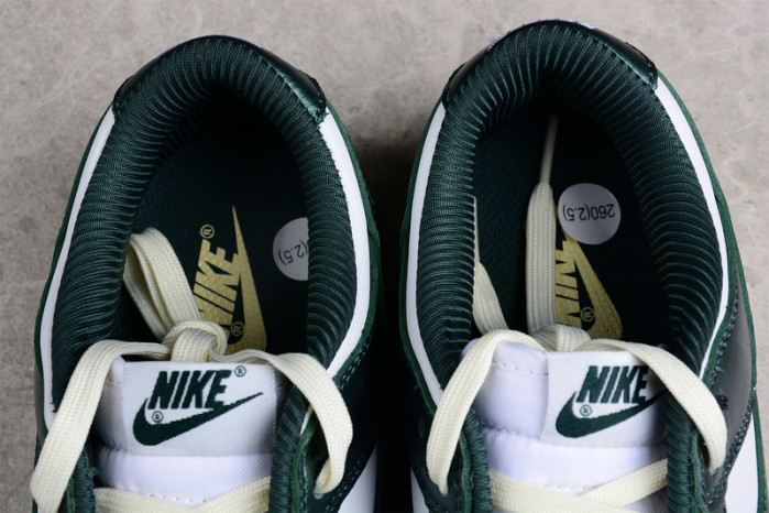 NIKE SB DUNK LOW “VINTAGE GREEN” DQ8580-100