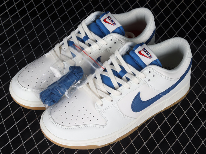 Nike SB Dunk Low DX3198-133