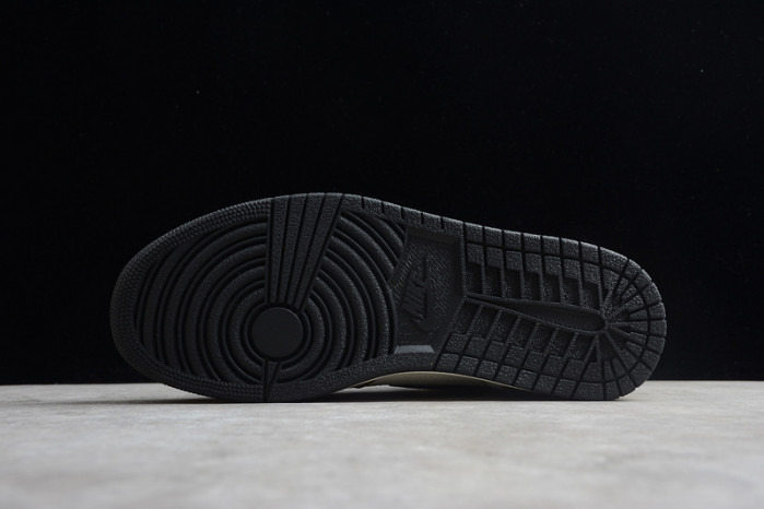 Air Jordan 1 Retro High OG ROY 555088-700