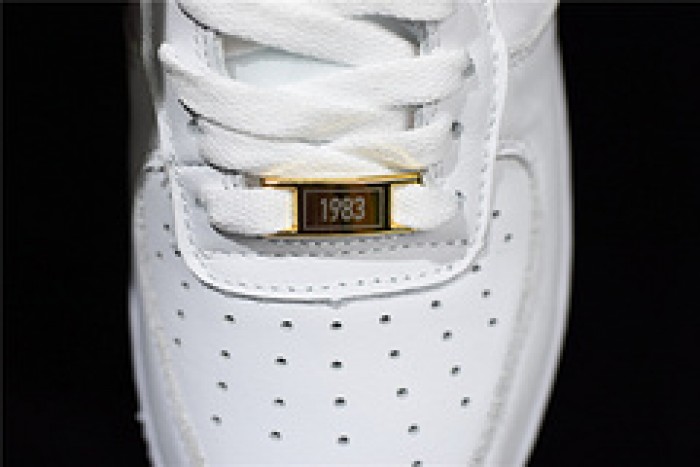 Nike Air Force 1 Low Fo Fi Fo AQ5107-100